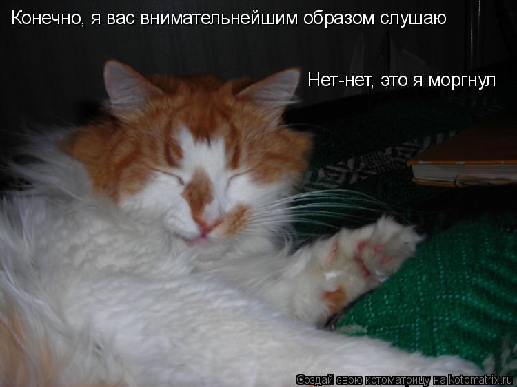 Конечно, я вас внимательнейшим образом слушаю Нет-нет, это я моргнул... Котоматрица: Конечно, я вас внимательнейшим образом слушаю Нет-нет, это я моргнул