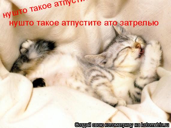 Котоматрица: нушто такое атпустите ато затрелью нушто такое атпустите ато затрелью