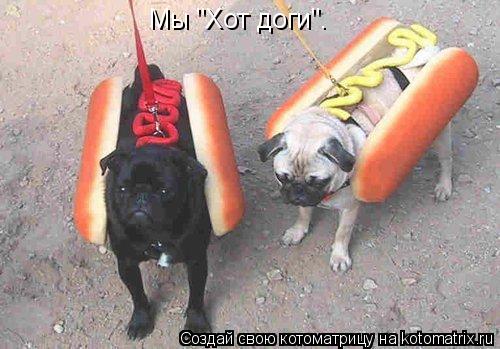 Мы "Хот доги".... Котоматрица: Мы "Хот доги".