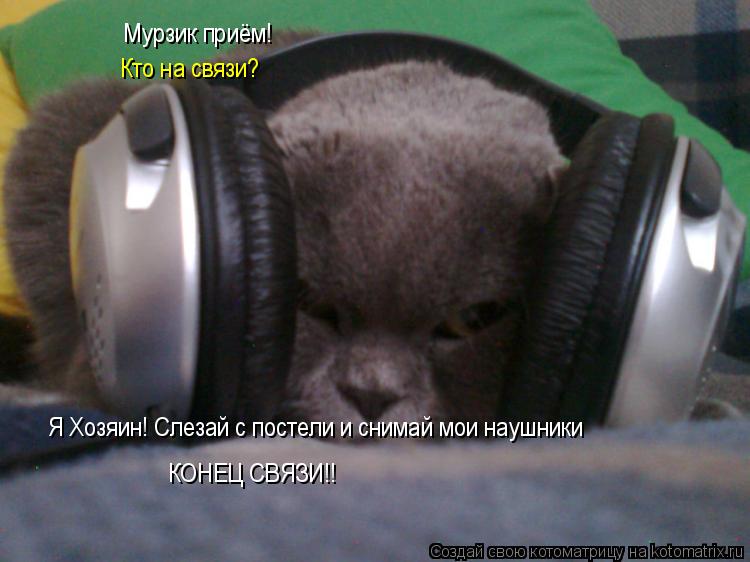 Мурзик приём! Кто на связи? Я Хозяин! Слезай с постели и снимай мои наушники КОНЕЦ СВЯЗИ!!... Котоматрица: Мурзик приём! Кто на связи? Я Хозяин! Слезай с постели и снимай мои наушники КОНЕЦ СВЯЗИ!!