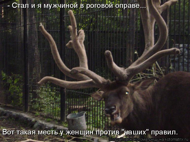 - Стал и я мужчиной в роговой оправе... Вот такая месть у женщин против "наших" правил…... Котоматрица: - Стал и я мужчиной в роговой оправе... Вот такая месть у женщин против "наших" правил…