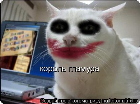 король гламура... Котоматрица: король гламура