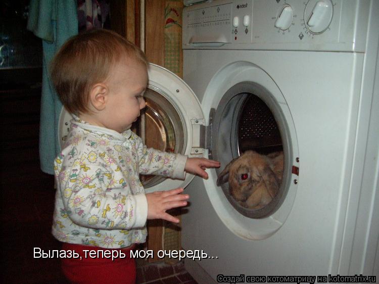 Котоматрица: Вылазь,теперь моя очередь...
