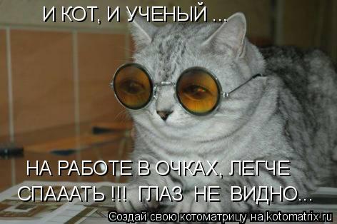 Котоматрица: И КОТ, И УЧЕНЫЙ ... НА РАБОТЕ В ОЧКАХ, ЛЕГЧЕ СПАААТЬ !!!  ГЛАЗ  НЕ  ВИДНО...