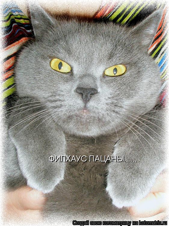 Котоматрица: ФИЛХАУС ПАЦАНЫ.......