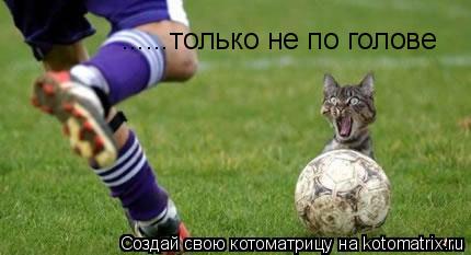 Котоматрица: ......только не по голове