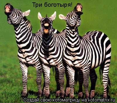 Котоматрица: Три боготыря!