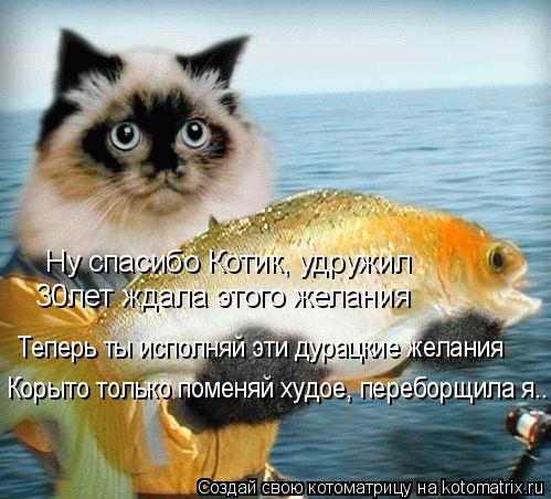 Котоматрица: Ну спасибо Котик, удружил 30лет ждала этого желания Теперь ты исполняй эти дурацкие желания Корыто только поменяй худое, переборщила я..