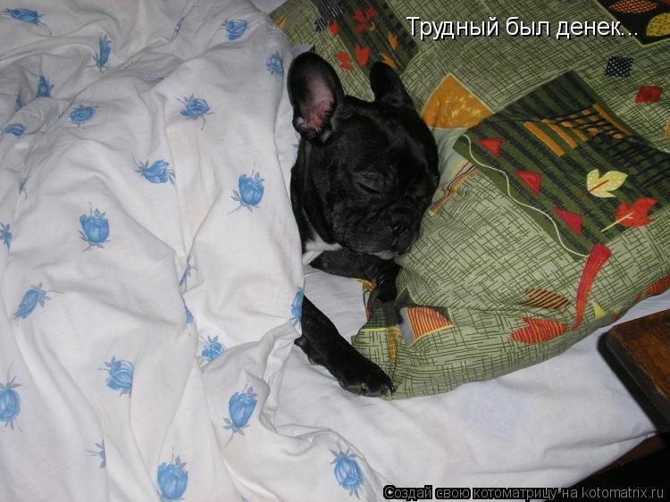 Трудный был денек...... Котоматрица: Трудный был денек...