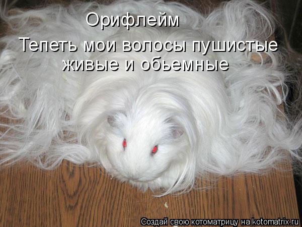 Котоматрица: Орифлейм Тепеть мои волосы пушистые живые и обьемные