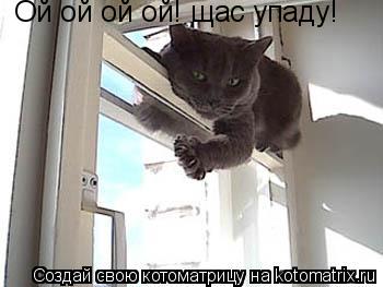 Ой ой ой ой! щас упаду!... Котоматрица: Ой ой ой ой! щас упаду!