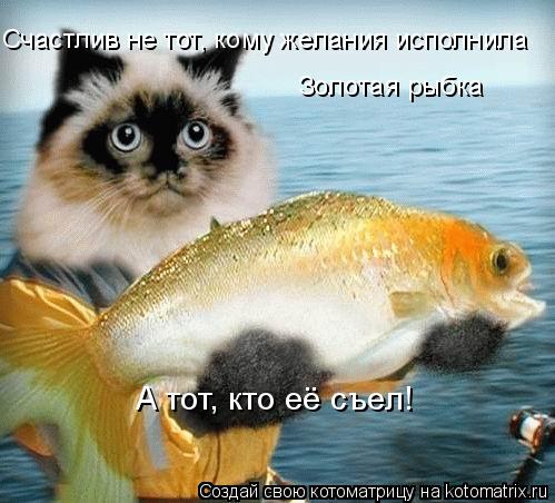 Котоматрица: Счастлив не тот, кому желания исполнила  Золотая рыбка А тот, кто её съел!