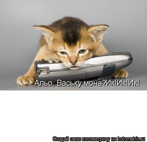 Альо, Ваську мона? Ик!Ик!Ик!... Котоматрица: Альо, Ваську мона? Ик!Ик!Ик!