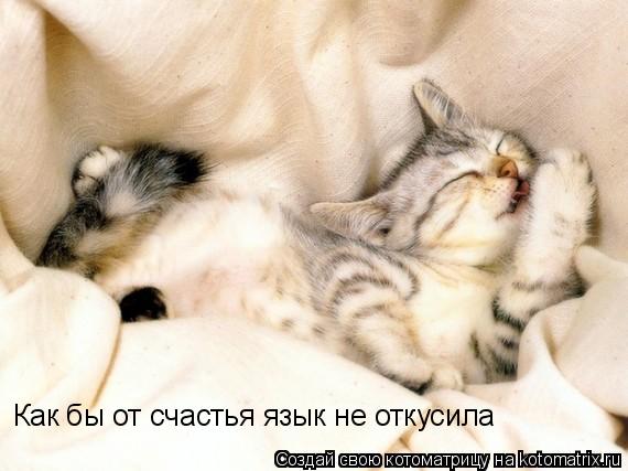 Котоматрица: Как бы от счастья язык не откусила
