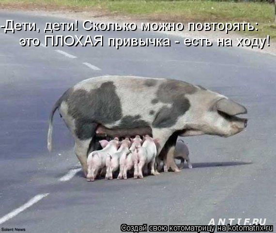 -Дети, дети! Сколько можно повторять: это ПЛОХАЯ привычка - есть на ходу!... Котоматрица: -Дети, дети! Сколько можно повторять: это ПЛОХАЯ привычка - есть на ходу!