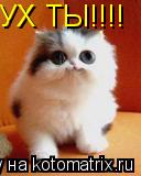 Котоматрица: УХ ТЫ!!!!