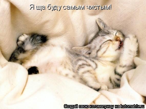 Я ща буду самым чистым!... Котоматрица: Я ща буду самым чистым!