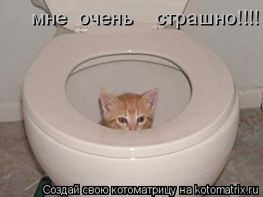 Котоматрица: мне  очень    страшно!!!!