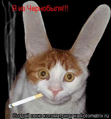 Я из Чернобыля!!!... Котоматрица: Я из Чернобыля!!!