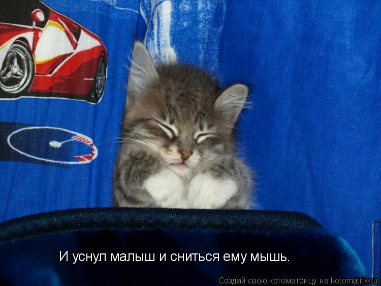 Котоматрица: И уснул малыш и сниться ему мышь.