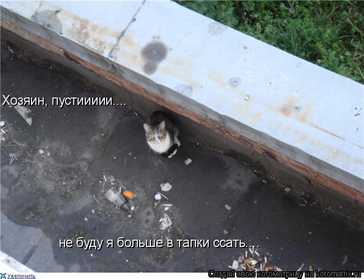 Хозяин, пустиииии.... не буду я больше в тапки ссать....... Котоматрица: Хозяин, пустиииии.... не буду я больше в тапки ссать....