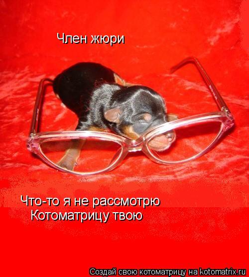 Что-то я не рассмотрю Котоматрицу твою Член жюри... Котоматрица: Что-то я не рассмотрю Котоматрицу твою Член жюри