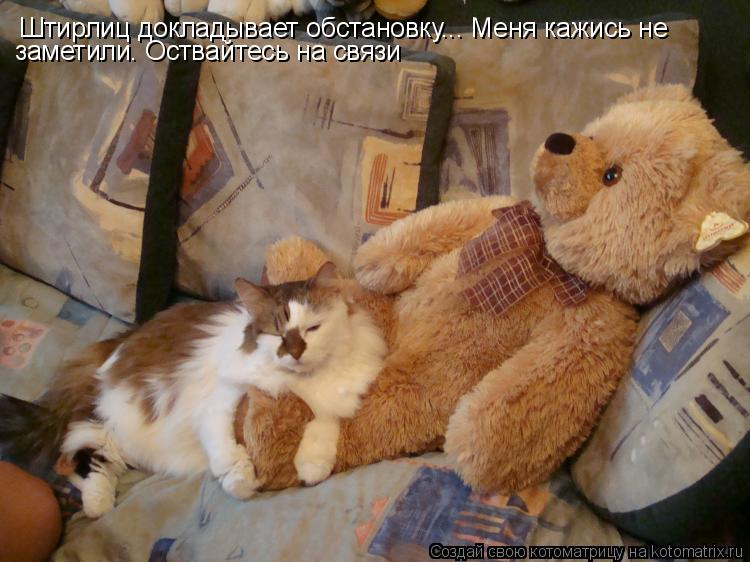 Штирлиц докладывает обстановку... Меня кажись не заметили. Оствайтесь на связи... Котоматрица: Штирлиц докладывает обстановку... Меня кажись не заметили. Оствайтесь на связи