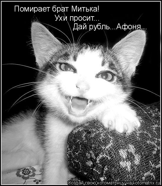 Помирает брат Митька! Ухи просит... Дай рубль...Афоня...... Котоматрица: Помирает брат Митька! Ухи просит... Дай рубль...Афоня...