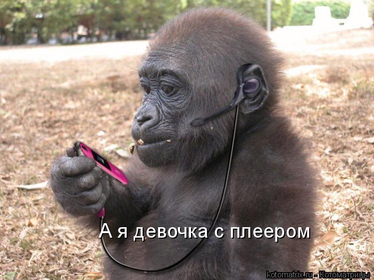 А я девочка с плеером... Котоматрица: А я девочка с плеером