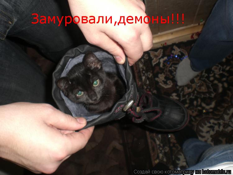 Замуровали,демоны!!!... Котоматрица: Замуровали,демоны!!!