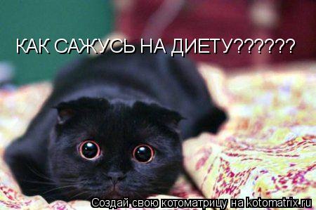 КАК САЖУСЬ НА ДИЕТУ??????... Котоматрица: КАК САЖУСЬ НА ДИЕТУ??????