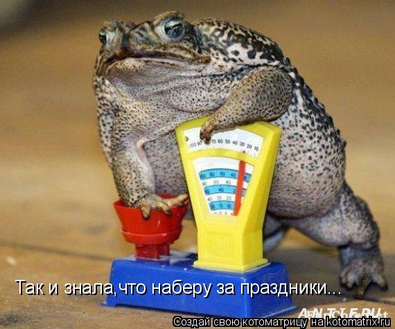 Так и знала,что наберу за праздники...... Котоматрица: Так и знала,что наберу за праздники...