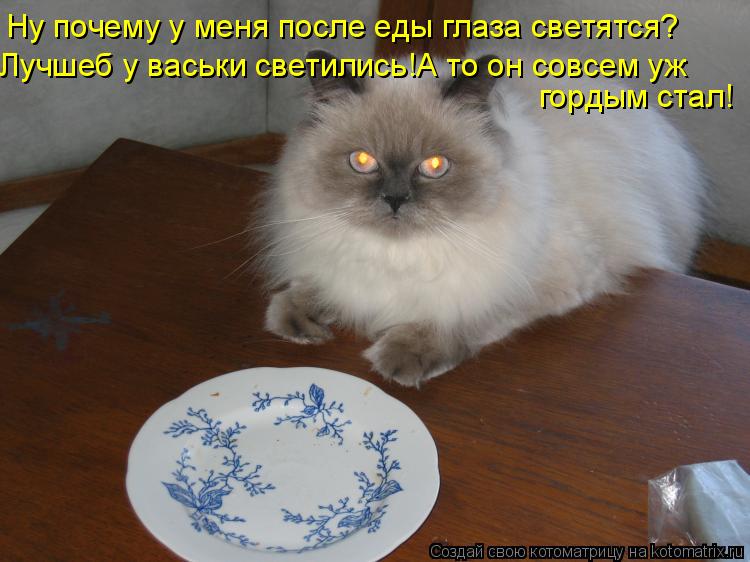 Ну почему у меня после еды глаза светятся? Лучшеб у васьки светились!А то он совсем уж гордым стал!... Котоматрица: Ну почему у меня после еды глаза светятся? Лучшеб у васьки светились!А то он совсем уж гордым стал!