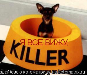 Я ВСЕ ВИЖУ,... Котоматрица: Я ВСЕ ВИЖУ,