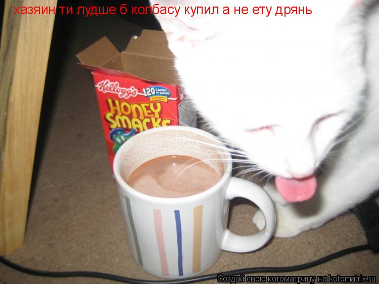 Котоматрица: хазяин ти лудше б колбасу купил а не ету дрянь