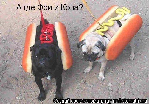 ...А где Фри и Кола?... Котоматрица: ...А где Фри и Кола?
