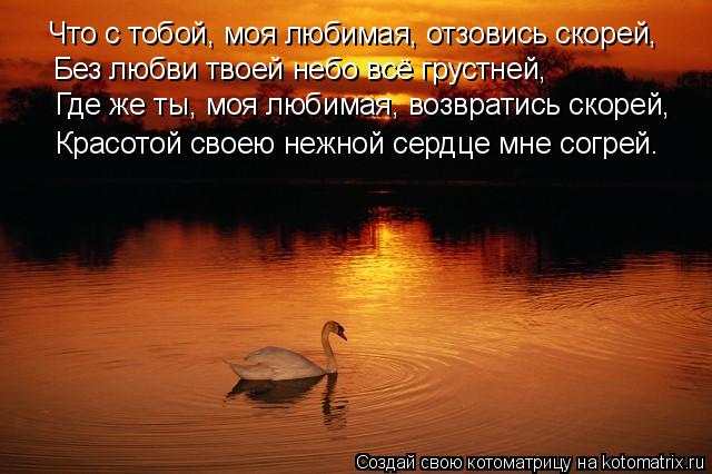 Стих где ты отзовись Стих где ты отзовись