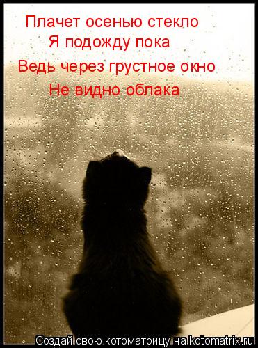 Плачет осенью стекло Я подожду пока Ведь через грустное окно Не видно облака... Котоматрица: Плачет осенью стекло Я подожду пока Ведь через грустное окно Не видно облака