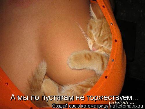 Котоматрица: А мы по пустякам не торжествуем...