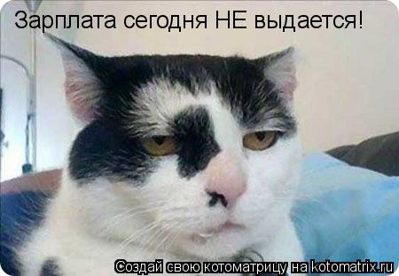 Зарплата сегодня НЕ выдается!... Котоматрица: Зарплата сегодня НЕ выдается!