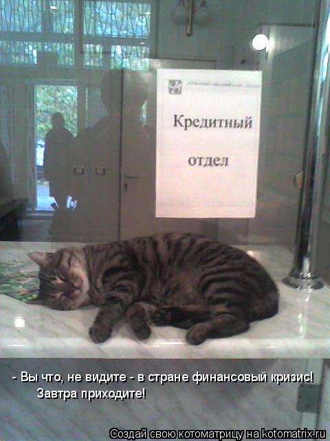 - Вы что, не видите - в стране финансовый кризис! Завтра приходите!... Котоматрица: - Вы что, не видите - в стране финансовый кризис! Завтра приходите!