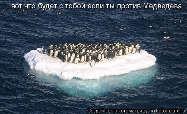 вот что будет с тобой если ты против Медведева... Котоматрица: вот что будет с тобой если ты против Медведева