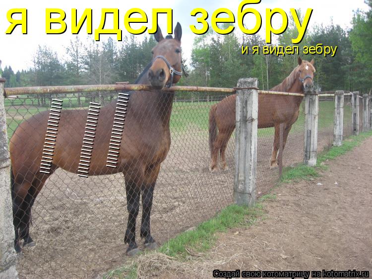 я видел зебру и я видел зебру IIIIIIIIIIIIIIIIIIIII IIIIIIIIIIIIIIIIIIIII IIIIIIIIIIIIIIIIIIIII... Котоматрица: я видел зебру и я видел зебру IIIIIIIIIIIIIIIIIIIII IIIIIIIIIIIIIIIIIIIII IIIIIIIIIIIIIIIIIIIII