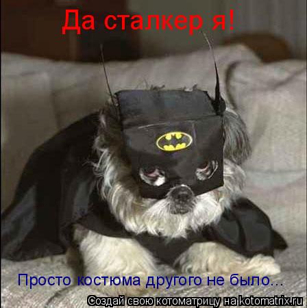Да сталкер я! Просто костюма другого не было...... Котоматрица: Да сталкер я! Просто костюма другого не было...