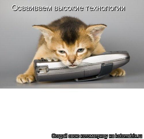 Осваиваем высокие технологии... Котоматрица: Осваиваем высокие технологии