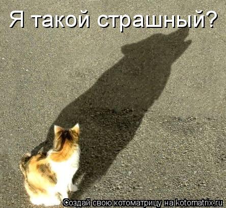 Я такой страшный?... Котоматрица: Я такой страшный?