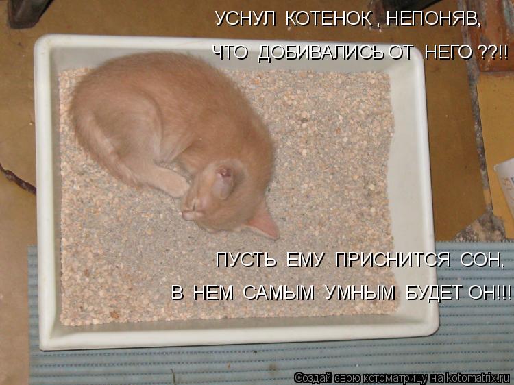 УСНУЛ КОТЕНОК , НЕПОНЯВ, ЧТО ДОБИВАЛИСЬ ОТ НЕГО ??!! ПУСТЬ ЕМУ ПРИСНИТСЯ СОН, В НЕМ САМЫМ УМ... Котоматрица: УСНУЛ КОТЕНОК , НЕПОНЯВ, ЧТО ДОБИВАЛИСЬ ОТ НЕГО ??!! ПУСТЬ ЕМУ ПРИСНИТСЯ СОН, В НЕМ САМЫМ УМНЫМ БУДЕТ ОН!!!
