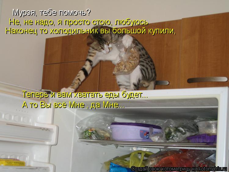Мурзя, тебе помочь? Не, не надо, я просто стою, любуюсь Наконец то холодильник вы большой купили, Те... Котоматрица: Мурзя, тебе помочь? Не, не надо, я просто стою, любуюсь Наконец то холодильник вы большой купили, Теперь и вам хватать еды будет... А то Вы всё