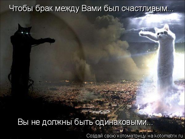 Чтобы брак между Вами был счастливым... Вы не должны быть одинаковыми...... Котоматрица: Чтобы брак между Вами был счастливым... Вы не должны быть одинаковыми...