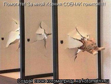 Помогите! За мной Ксения СОБЧАК гонится!!!!... Котоматрица: Помогите! За мной Ксения СОБЧАК гонится!!!!